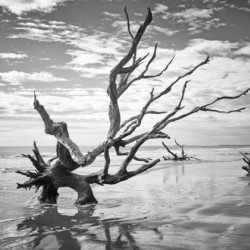 Please Save Me  18x26