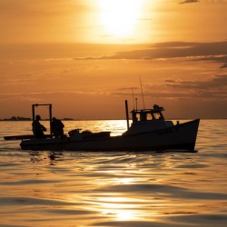  DSC0643 Fishermen Tangier