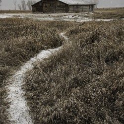  DSC9166   snowy barn small