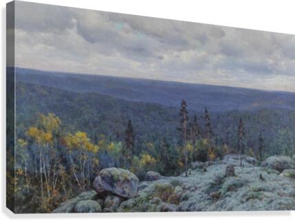 Woodland landscape, 1898 Canvas Print