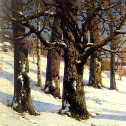 Konstantin Yakovlevich Kryzhitsky 