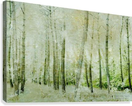 nature Canvas Print