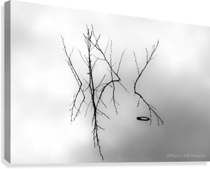  reflet d automne Canvas Print