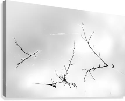 miroir Canvas Print