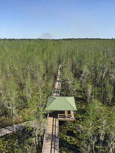 Nature Trail