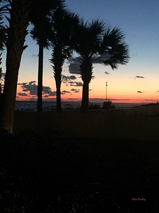 Panama City Beach