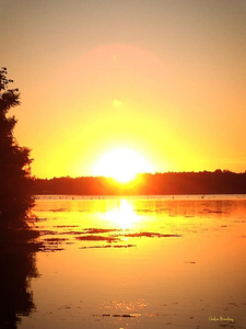 Lake Seminole