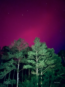 Thomasville Georgia