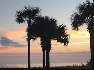 Panama City Beach