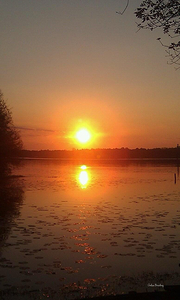 Lake Seminole