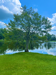 Cherokee Lake