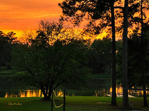 Thomasville Georgia