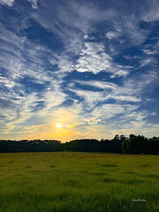 Thomasville Georgia