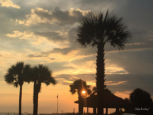 Panama City Beach 