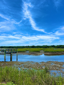 Amelia Island