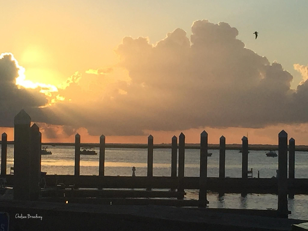 Fernandina Beach by Chelsea Broadway