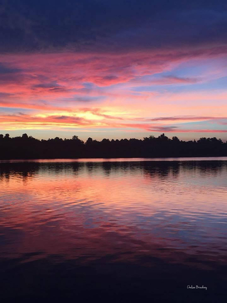 Lake Seminole by Chelsea Broadway