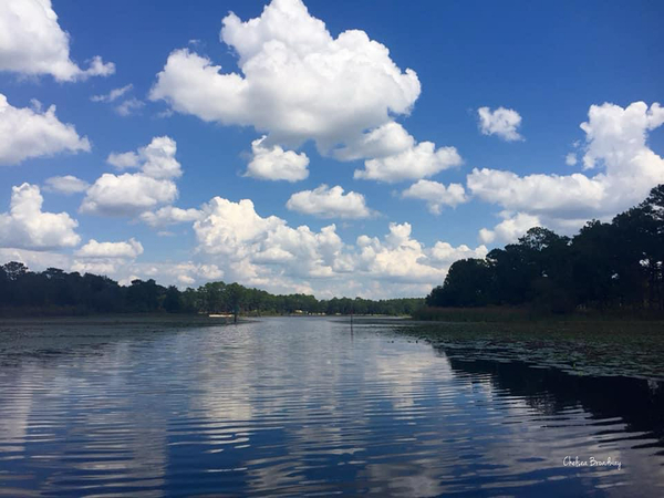Lake Seminole by Chelsea Broadway