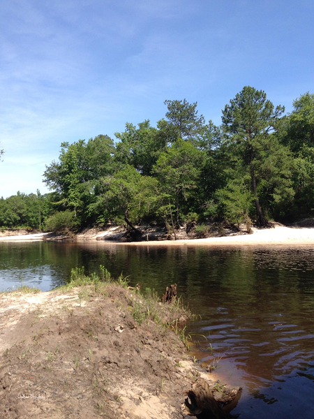 Satilla River by Chelsea Broadway