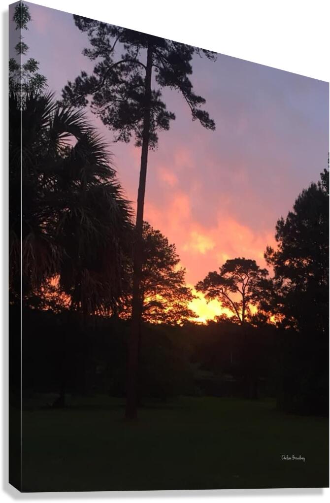 Sunset Canvas Print