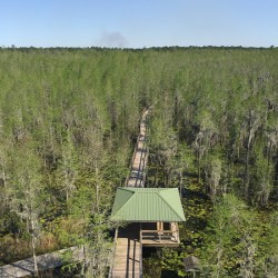 Nature Trail
