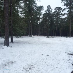 Thomasville Georgia