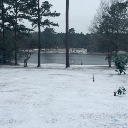 Thomasville Georgia