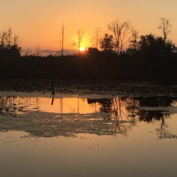 Cairo Georgia