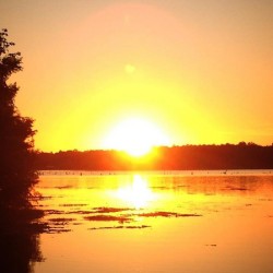 Lake Seminole