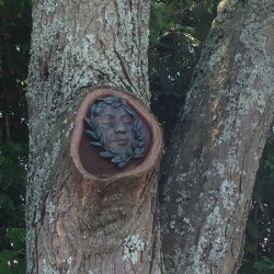 Trees