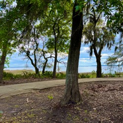 Amelia Island
