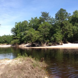 Satilla River