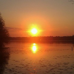 Lake Seminole