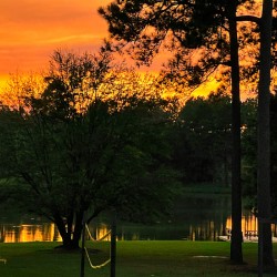 Thomasville Georgia