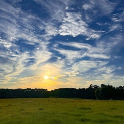 Thomasville Georgia