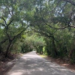 Amelia Island
