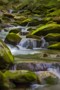  Back Country Stream II  