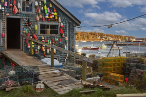 Maine Harbor