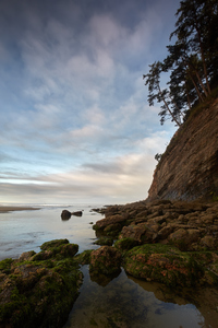Shore in Oregon