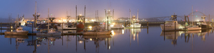 Early morning harbor II