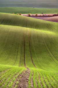 2022 11 18 09 44 58 CS4 2