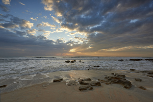 Rocks on a Florida Beach