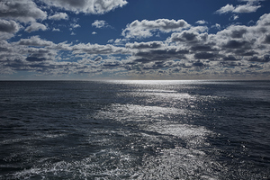 Maine Open Ocean
