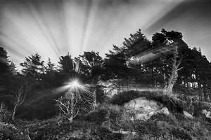 God Rays on an Oregon CLiff II