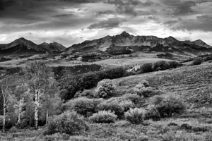 Aspens and Mountains 1