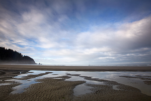 Shoreline in Smugglers Cove