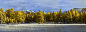A Calm Flagstaff
