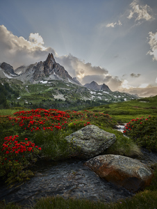 Afternoon Light in the Alps