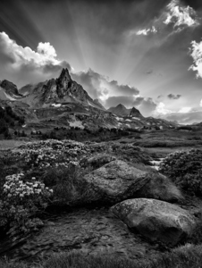 Afternoon Light in the Alps 1