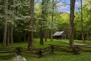 Another Cabin in Cades Cove